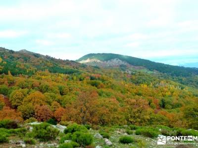 Castañar de El Tiemblo - Pozo de la Nieve - Garganta de la Yedra, foro senderismo madrid